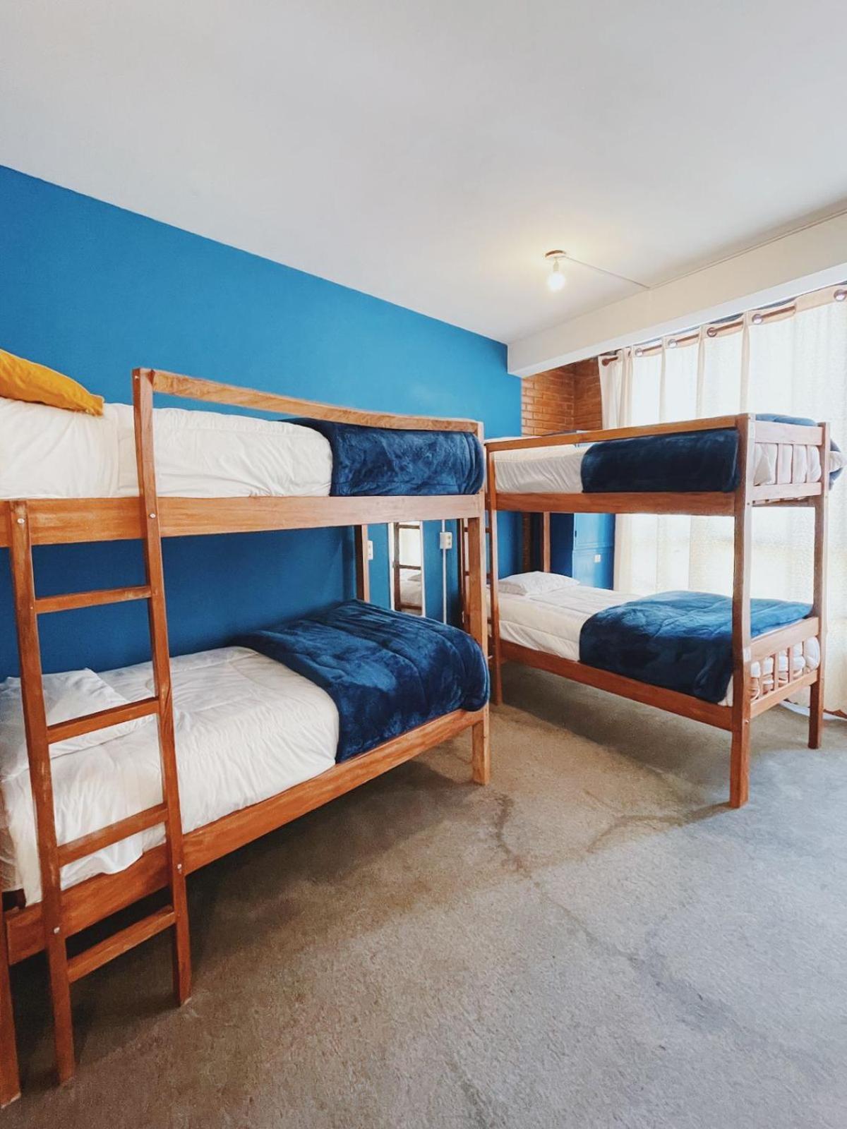 Lobo Hostel La Paz Extérieur photo