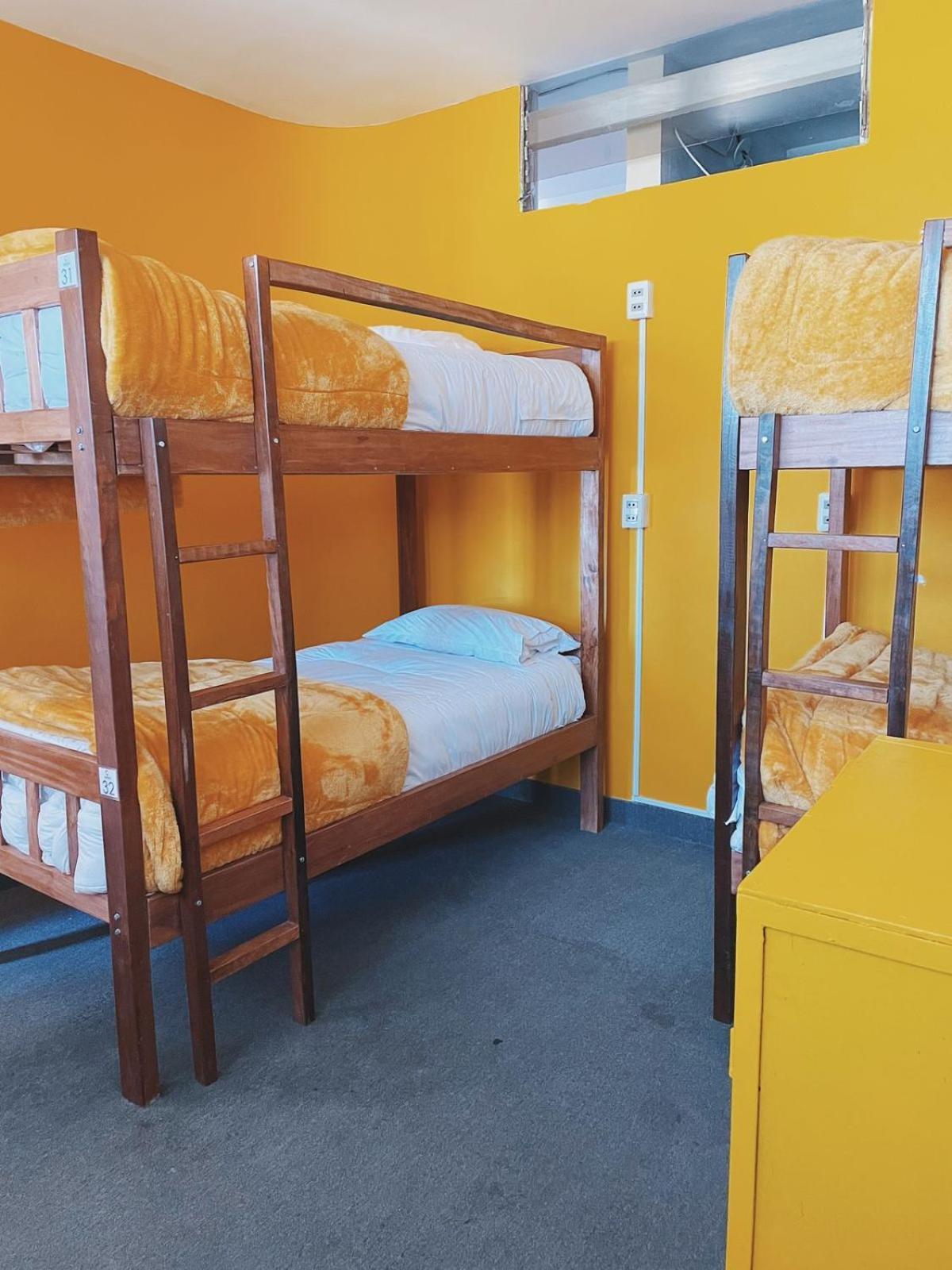 Lobo Hostel La Paz Extérieur photo