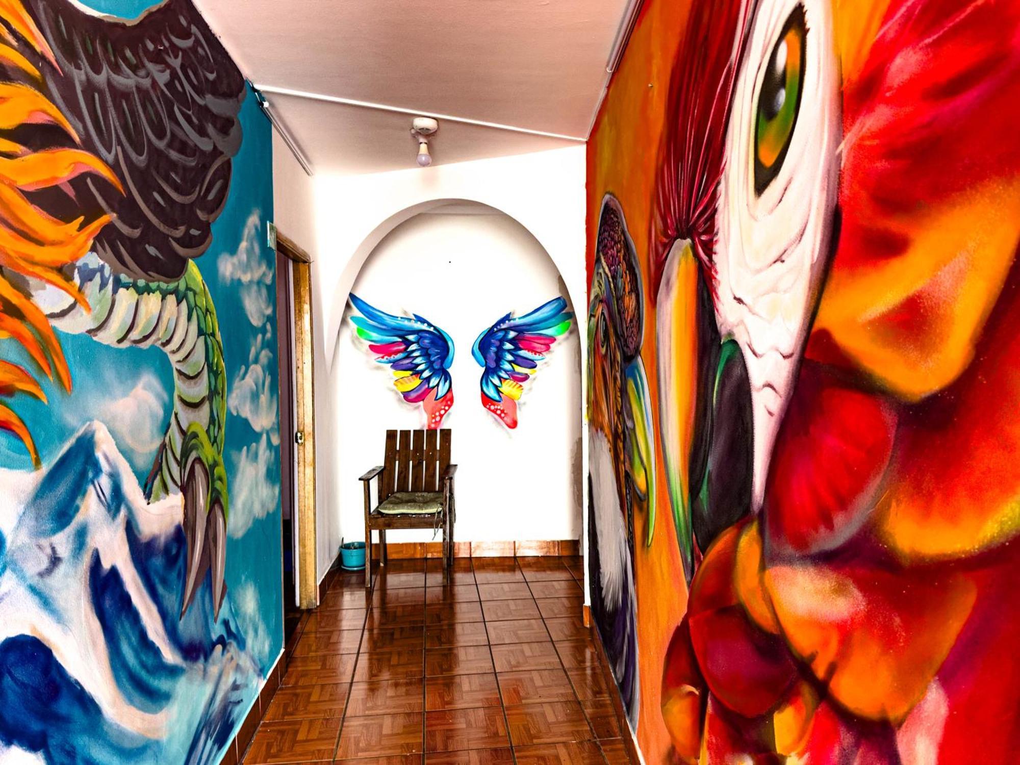 Lobo Hostel La Paz Extérieur photo