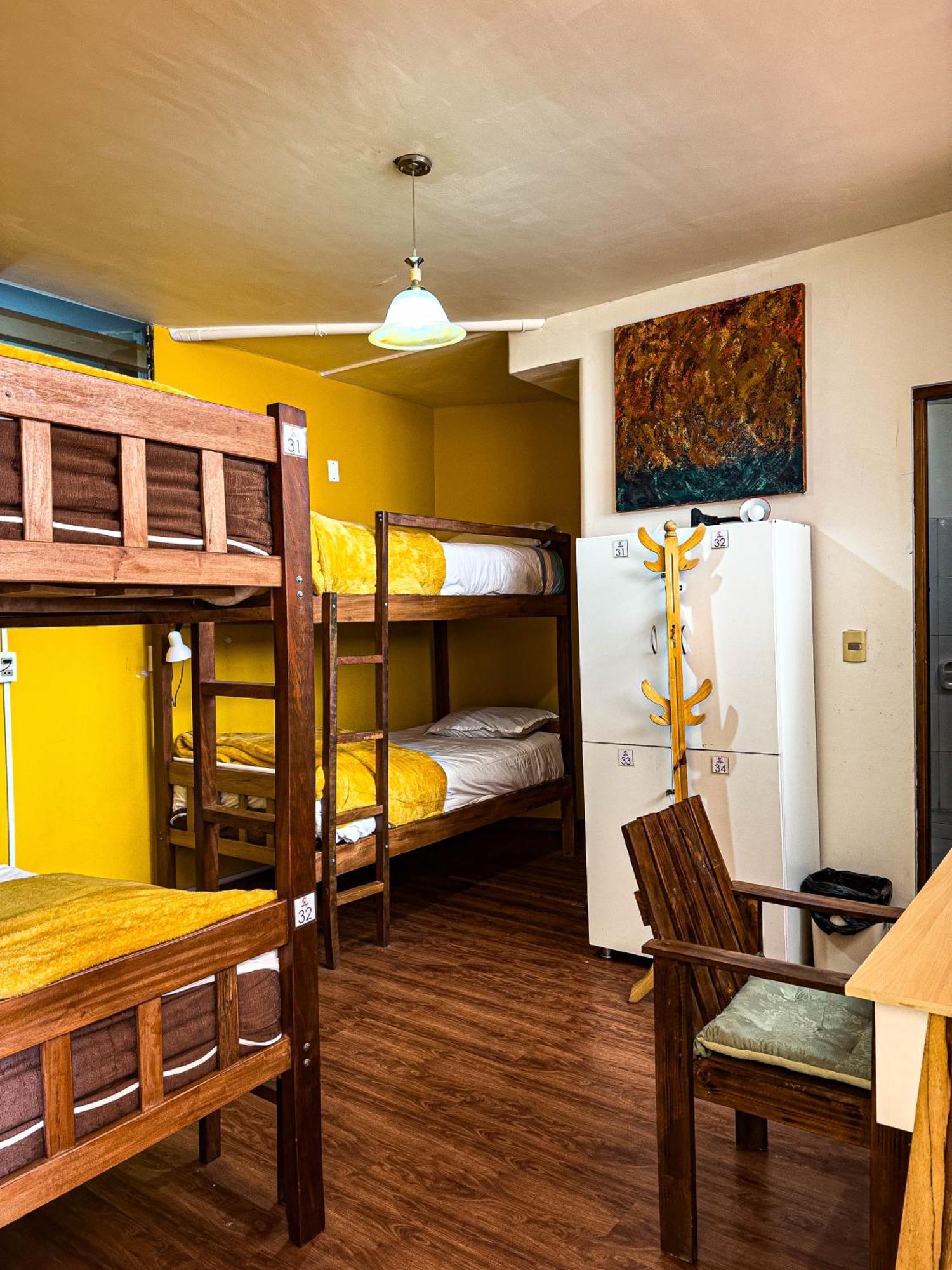 Lobo Hostel La Paz Extérieur photo