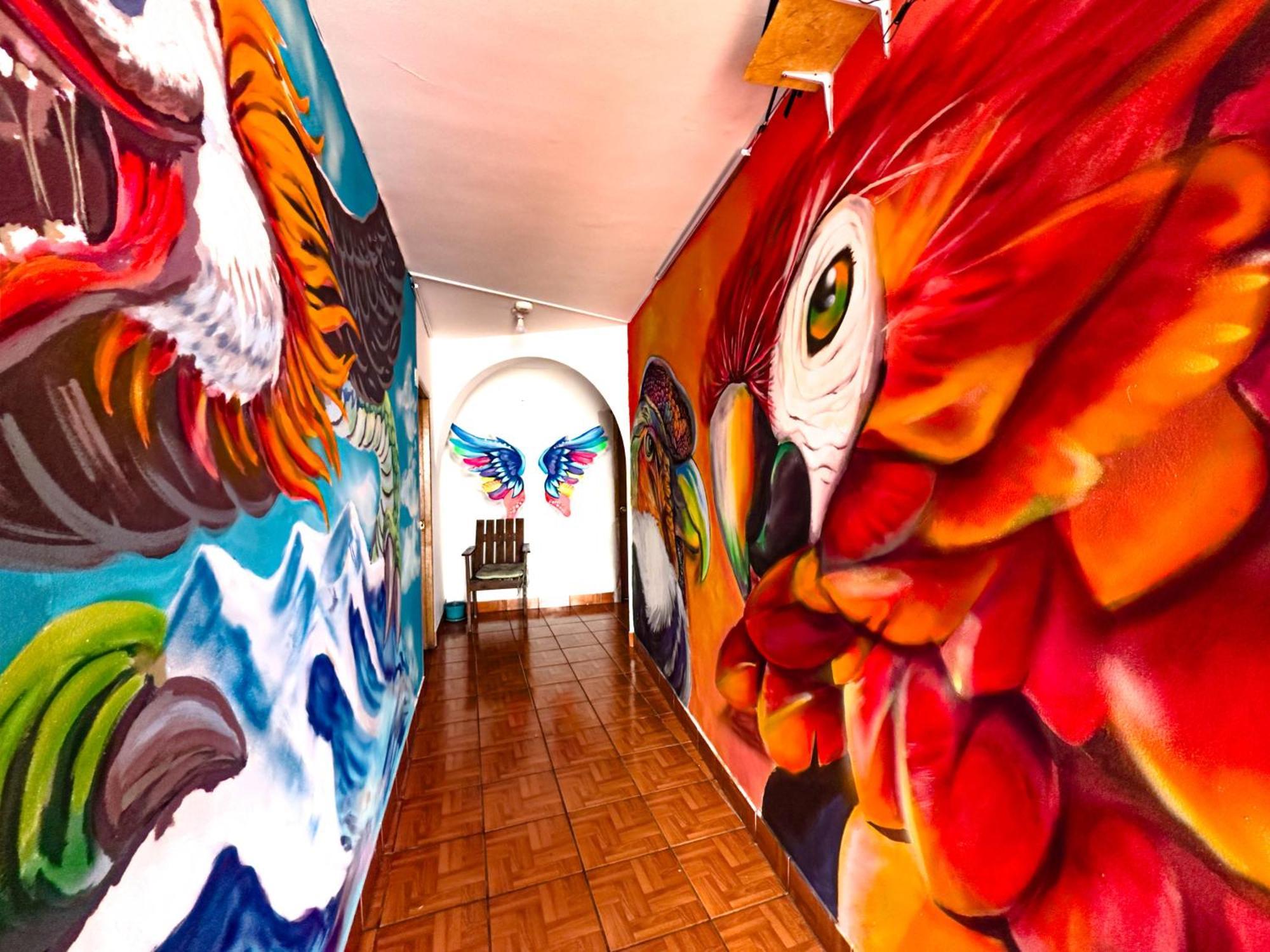 Lobo Hostel La Paz Extérieur photo